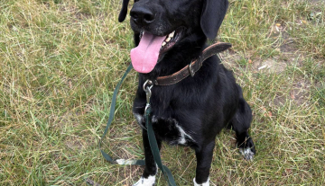 janek.jpg