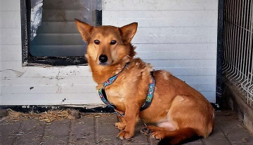 PUSIAK - ur. ok. 01.11.2014r.