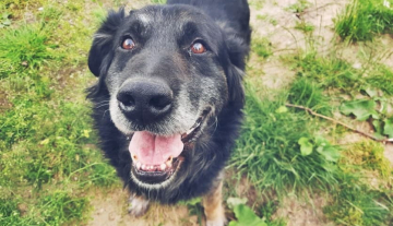 IWAN - ur.ok. 01.02.2012r.