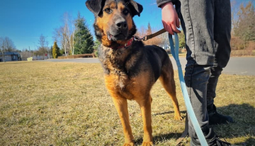 AZA - ur. ok. 01/09/2018