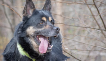 MAX - ur. ok. 01/08/2014